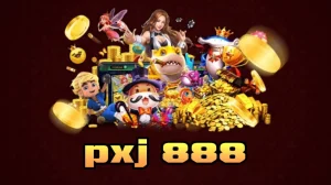 pxj888